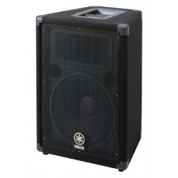 Enceinte 10"