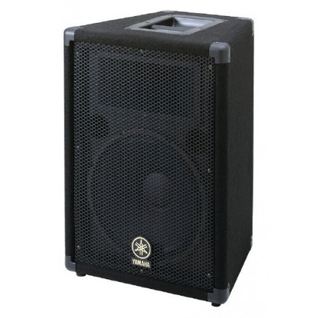 Enceinte 12" 2 voies 300W PGM