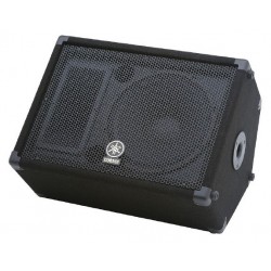 Enceinte retour 12" 2 voies 300W PGM