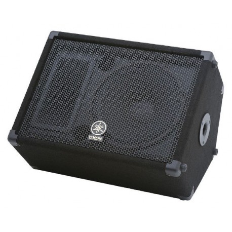 Enceinte retour 12" 2 voies 300W PGM