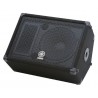 Enceinte retour 12" 2 voies 300W PGM