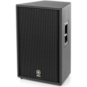Enceinte 15" + 2" 2 voies 500W PGM + vis avec insert suspension