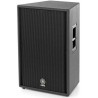 Enceinte 15" + 2" 2 voies 500W PGM + vis avec insert suspension