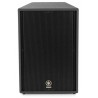 Enceinte 15" + 2" 2 voies 500W PGM + vis avec insert suspension