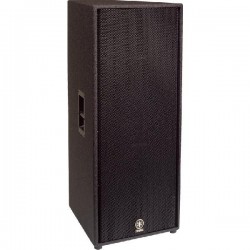 Enceinte 15" + 2" 2 voies 1000W PGM