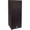 Enceinte 15" + 2" 2 voies 1000W PGM