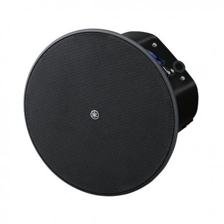 Enceinte plafond driver 4"