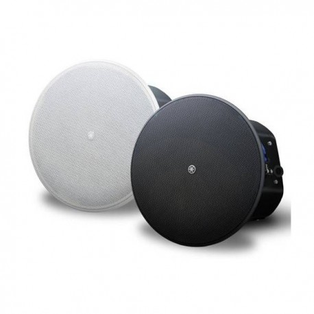 Enceinte plafond woofer 8"