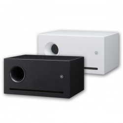 Caisson de grave 10"